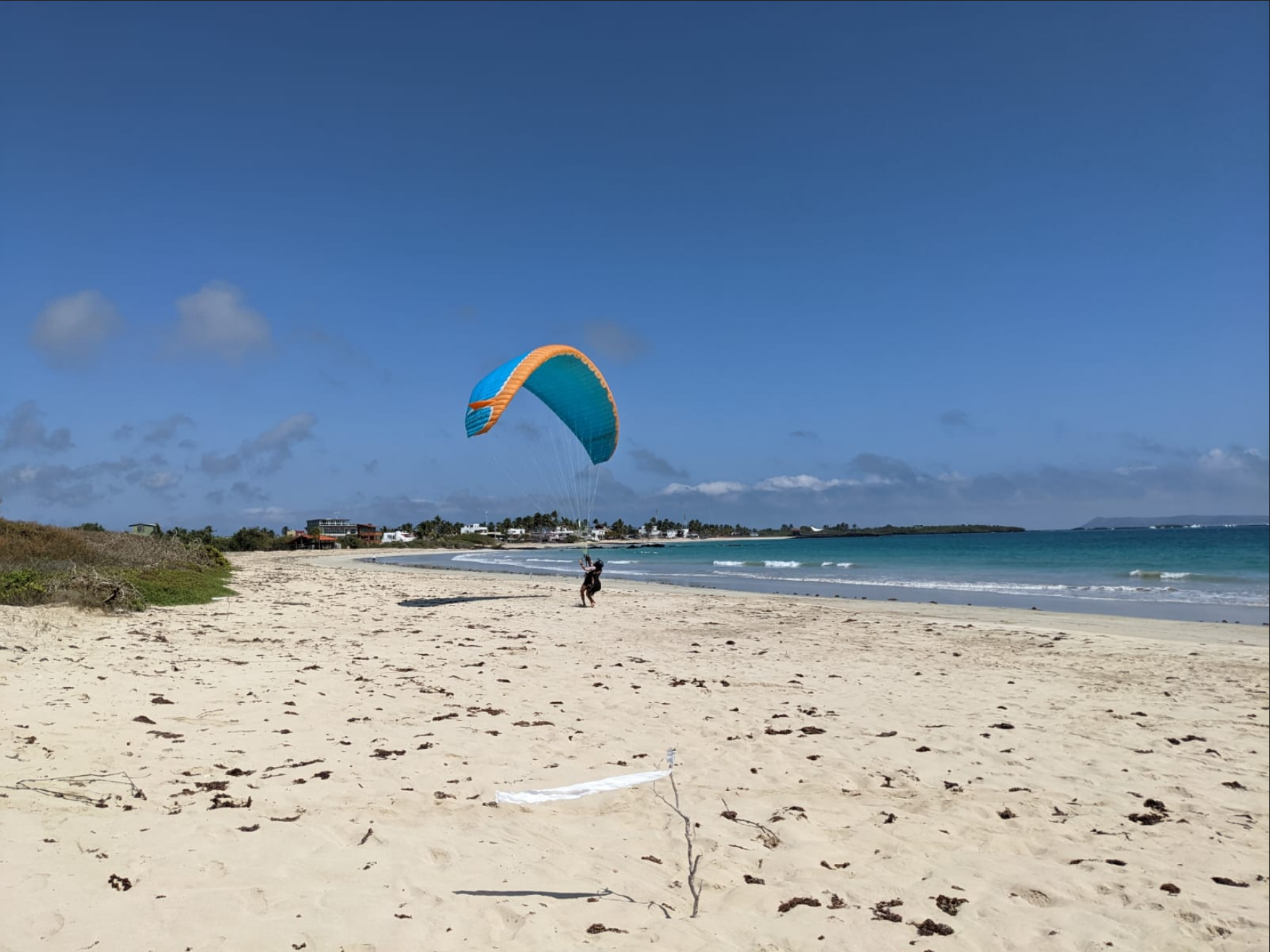 Simbiosis paraglide